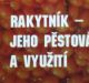 d - rakytnik - pestovanie a vyuzitie